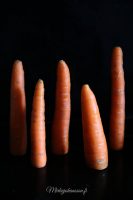Porkkana–chorizo lisuke